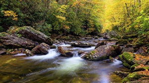 Images Dated 17th June 2024: USA, North Carolina. West Fork Pigeon River and forest landscape