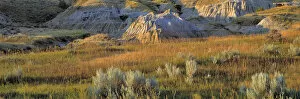 Images Dated 16th April 2008: USA, North Dakota, Roosevelt NP. Sagebrush springs from the arid soil in the south