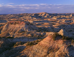 North Dakota Prints: USA, North Dakota, Theodore Roosevelt National Park, Evening light defines eroded