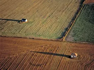 Plowed Prints: USA, North Dakota, Washburn. Late light throws long shadows off small barns in