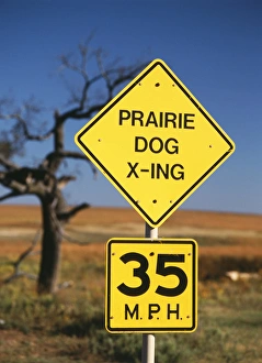 Communication Prints: USA, Oklahoma, Speed limit road sign, close-up