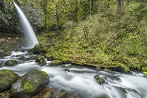 Hiking Prints: USA, OR, Columbia River Gorge, Ponytail Falls
