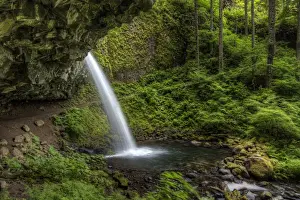 Calming Prints: USA, OR, Columbia River Gorge. Ponytail Falls. HDR