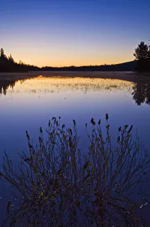 Fremont Prints: USA, OR, Femont-Minema NF, Lake of the Woods Dawn