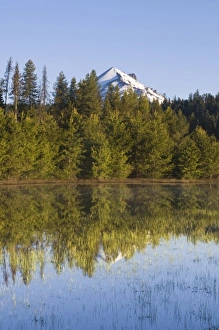 Fremont Prints: USA, OR, Fremont-Minema NF, Mt. McLoughlin Reflected in Lake of the Woods