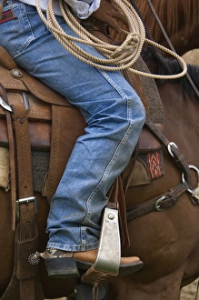 Rope Prints: USA, OR, Pendelton, Pendelton Roundup, Cowboy Detail