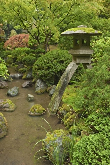 Landscaped Prints: USA, OR, Portland, Portland Japanese Garden