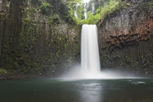Images Dated 26th April 2016: USA, Oregon. Abiqua Falls plunges into large pool