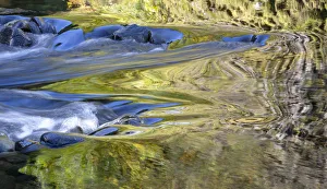 Images Dated 13th November 2018: USA, Oregon. Abstract of autumn colors reflected in Wilson River rapids. Credit as