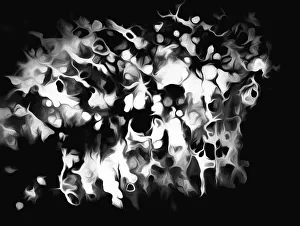 USA, Oregon. Abstract of black and white photograph. Credit as