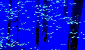 USA, Oregon. Abstract of leaves on pond. Credit as: Jean Carter / Jaynes Gallery / DanitaDelimont