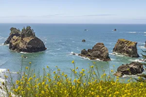 Sea Stack Prints: USA, Oregon. Arch Rock Lookout on Pacific Ocean shoreline