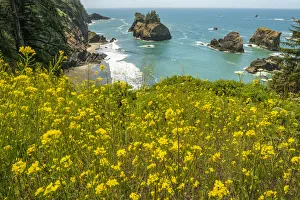 Images Dated 10th February 2022: USA, Oregon. Arch Rock Lookout on Pacific Ocean shoreline