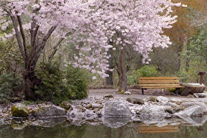 Images Dated 18th April 2012: USA, Oregon, Ashland. Spring scenic in Lithia Park