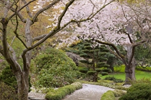 Images Dated 18th April 2012: USA, Oregon, Ashland. Spring scenic in Lithia Park
