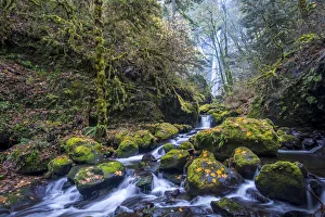 Images Dated 10th November 2016: USA, Oregon. Autumn view of McCord Creek flowing below Elowah Falls in the Columbia River Gorge