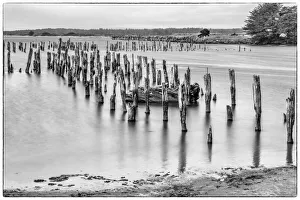 Images Dated 13th December 2021: Usa, Oregon, Bandon. Bandon Pier, Long Exposure