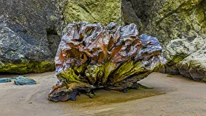 USA, Oregon, Bandon, Beach