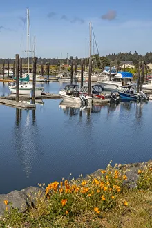 Poppy Prints: USA, Oregon, Bandon Beach. Docked boats in Bandon Marina