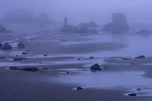 Sea Stack Prints: USA, Oregon, Bandon Beach. Foggy sunrise on beach and sea stacks