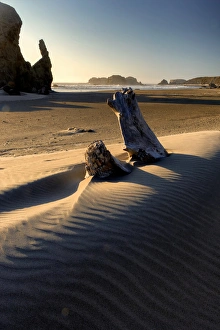 Images Dated 7th May 2016: USA, Oregon, Bandon. Beach landscape