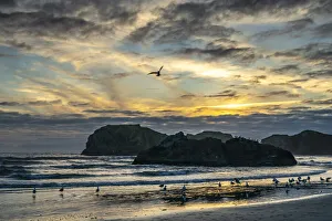USA, Oregon, Bandon Beach. Pacific Ocean sea stacks and birds at sunset