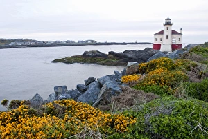Build Prints: USA, Oregon, Bandon, Coquille River Lighthouse