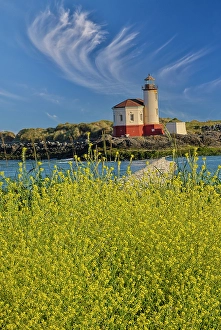 Images Dated 16th September 2024: USA, Oregon, Bandon. Coquille River Lighthouse along the Pacific Coastline with foreground of wild mustard