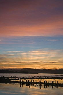 Sun Ray Prints: USA, Oregon, Bandon. Gods rays appear over coast at sunrise