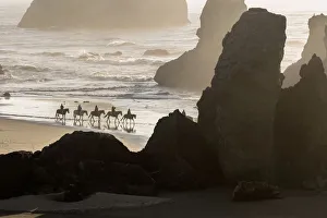 Persons Prints: USA, Oregon, Bandon. Horseback riders on beach