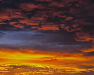 Atmosphere Prints: USA, Oregon, Bend. Colorful layers of clouds fill the morning sky in central Oregon