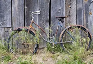 Weed Prints: USA, Oregon, Bend. A dilapidated old bike leans against an old barn in Bend, Oregon