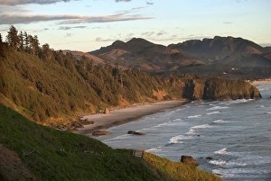 Peter Hawkins Prints: USA, Oregon, Cannon Beach, Ecola Oregon state park