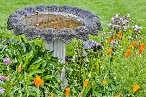 Images Dated 19th May 2015: USA, Oregon, Cannon Beach, Flowers and Birdbath