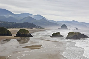 Cloudy Prints: USA, Oregon, Cannon Beach. Fog rises over coastline at low tide