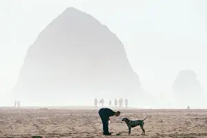 Northwest Prints: USA, Oregon, Cannon Beach, A man plays frisbee with his dog on a misty morning