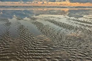 Cannon Beach Prints: USA, Oregon, Cannon Beach. Sunset golden colors with ripples sandy beach