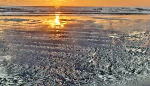 Cannon Beach Prints: USA, Oregon, Cannon Beach. Sunset golden colors with ripples sandy beach