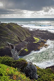 Cape Perpetua Prints: USA, Oregon, Cape Perpetua, Siuslaw National Forest