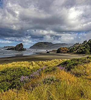 Images Dated 10th May 2021: USA, Oregon, Cape Sebastian