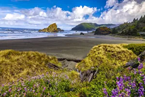 Images Dated 10th May 2021: USA, Oregon, Cape Sebastian