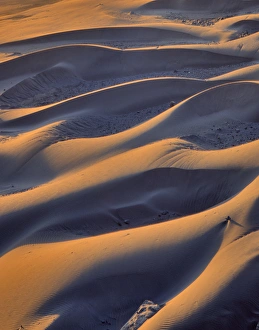 USA, Oregon, Cape Sebastian. Close-up of sand dunes