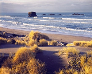 Seastack Prints: USA, Oregon, Cape Sebastian SP