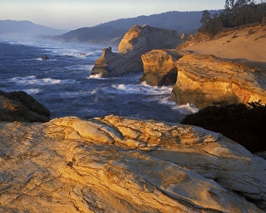 Area Prints: USA, Oregon, Three Capes Scenic Route, Cape Kiwanda State Natural Area, Sandstone