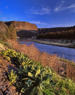 Castle Rock Prints: USA, Oregon. Castle Rock above Crooked River