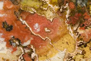 Images Dated 2nd April 2009: USA, Oregon. Close-up of Graveyard Point Plume Agate stone