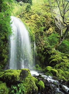 USA, Oregon, Colombia, Mt Hood National Forest, Columbia River Gorge, View of waterfall USA, Oregon, Colombia, Mt Hood National Forest, Columbia River Gorge, View of waterfall