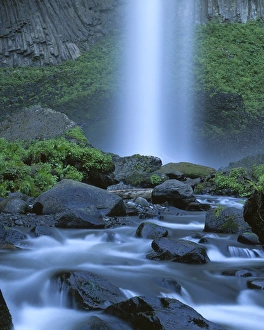 Latourell Falls Prints: USA, Oregon, Columbia Gorge, Latourell Falls, Guy W. Talbot State Park