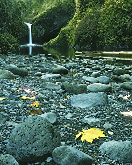 USA, Oregon, Columbia Gorge National Scenic Area, Punch Bowl Falls