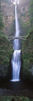 Powerful Prints: USA, Oregon, Columbia River George, View of Multnomah Falls